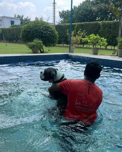 Hydrotherapy