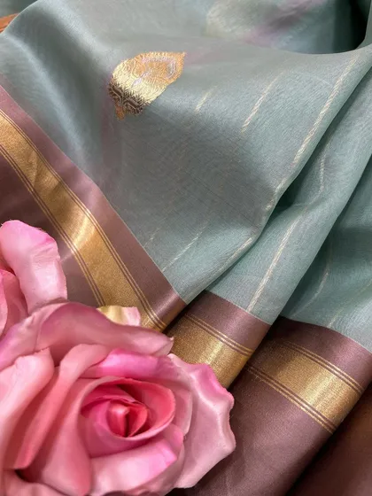 The delicate allure of Tissue Silk. This image showcases the feather-light texture and subtle sheen of a pastel blue tissue silk saree, detailed with a simple gold border and buti, perfect for daytime events.