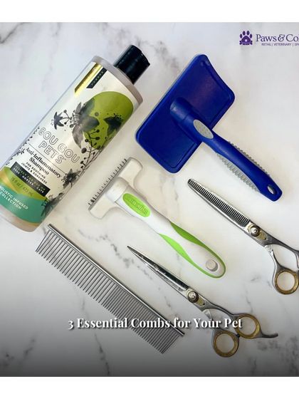 PawsnCollars - Pet Supplies Natural Grooming & Wellness photo 3