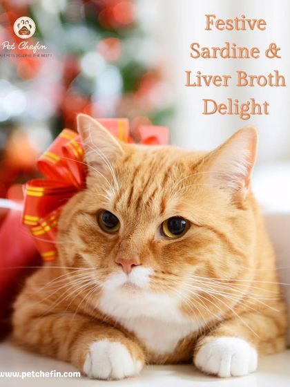 This Christmas, surprise your kitty with a homemade gourmet treat. Our Sardine and Liver Broth Mix recipe is a simple yet luxurious way to show your cat some extra festive love.