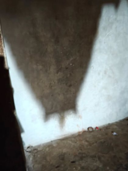 Sneha Kappanna - Theatre, Storytelling & Workshops Stories of Our Land: Cultural Explorations photo 11