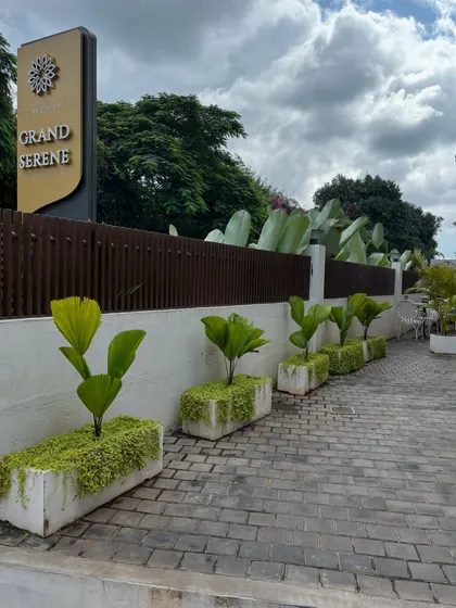 A row of planters with young fan palms and creeping groundcover lines the entrance of Hotel Grand Serene. This design creates a neat, welcoming pathway for guests.