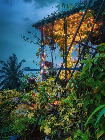 The garden lit up against the deep blue evening sky. The lights highlight the different textures of the leaves, creating beautiful patterns of light and shadow.