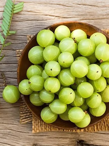 Fresh amla (Indian gooseberry) in a bowl. I use these to make my healthy and delicious amla chutney and amla pickle, both packed with Vitamin C.