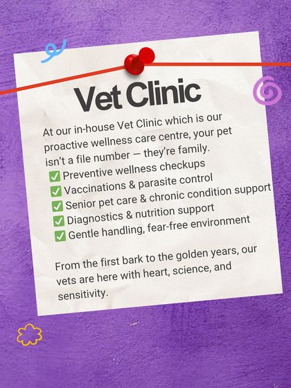 PawsnCollars - Veterinary Care Our Story & Our Team photo 10