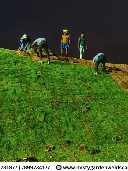 Our team works diligently to ensure every piece of turf is perfectly placed and settled, creating a seamless green surface.