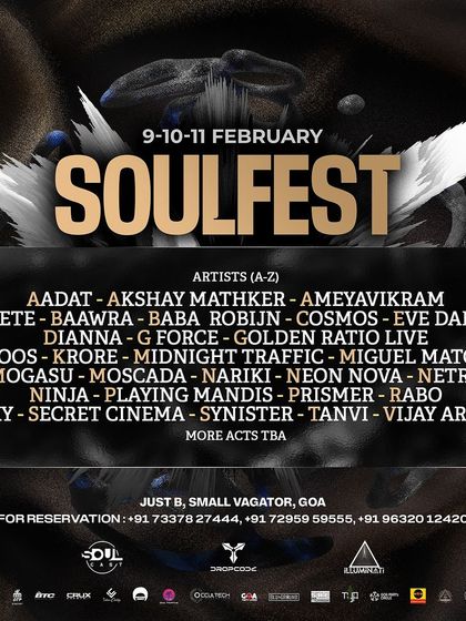 Dianna - Live DJ Performance Festival & Large Scale Events photo 5