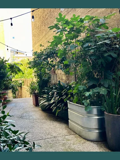 We see potential in every space. This once-empty side passage was transformed into a charming and productive walkway garden using a mix of galvanized steel and terracotta planters, with string lights to create a warm, inviting atmosphere.