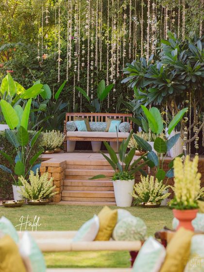 The main seating for the couple at the Haldi, framed by lush plants and cascading floral strings. The design used natural textures and a soft color palette to create a beautiful focal point that felt both elegant and organic.