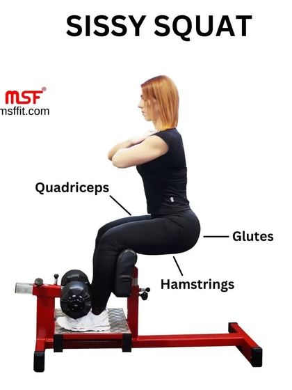 An infographic showing the muscles targeted by the sissy squat: quadriceps, glutes, and hamstrings.