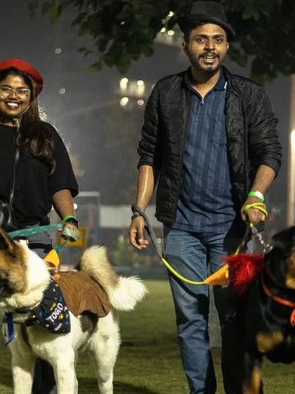 A couple enjoys a walk with their Akita and Rottweiler, all dressed up for the Halloween party. My events are a great way for the whole family to participate.