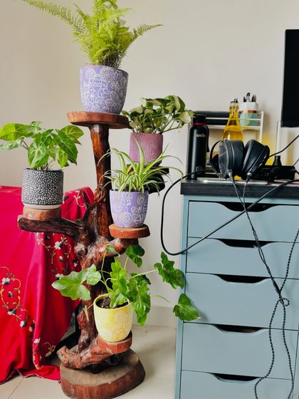 A close-up of the coffee stump plant stand. The hand-painted pots add a personal touch, and the mix of ferns and philodendrons creates a mini-jungle right next to the desk.