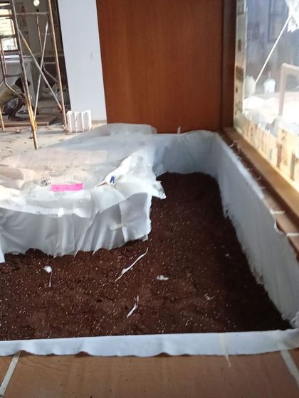 Make My Garden - Garden Design & Landscaping Indoor Green Spaces photo 30