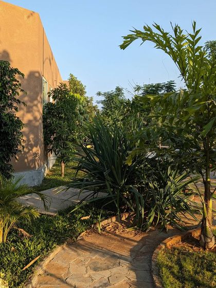 A winding stone path leads through a garden at sunset. The warm light highlights the different plant forms, showing how the landscape changes character throughout the day.