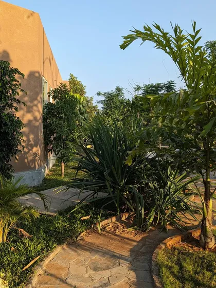 A winding stone path leads through a garden at sunset. The warm light highlights the different plant forms, showing how the landscape changes character throughout the day.