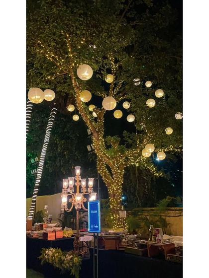 Elegant Setups & Ambiance photo 14