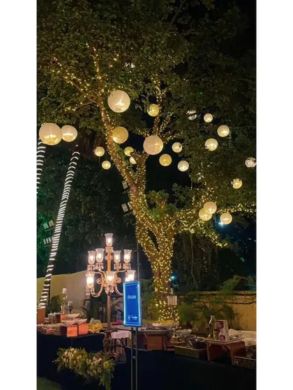 An evening view of one of my buffet setups, where the trees are decorated with glowing lanterns and fairy lights, creating a whimsical and enchanting forest theme.