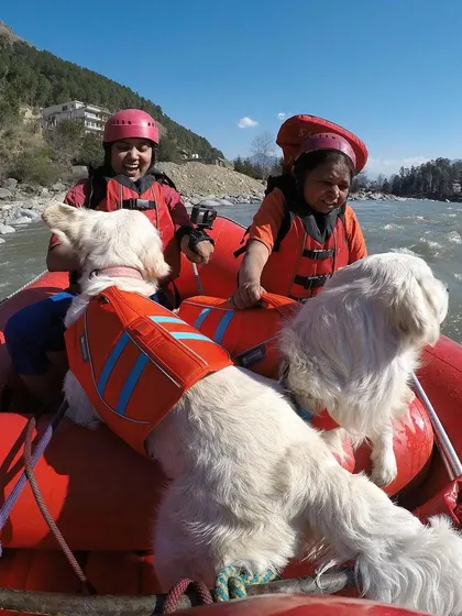 Rafting down the river with my two dogs and my mom is a memory I'll cherish forever. I teach you how to make water sports a safe and thrilling experience for the whole family.
