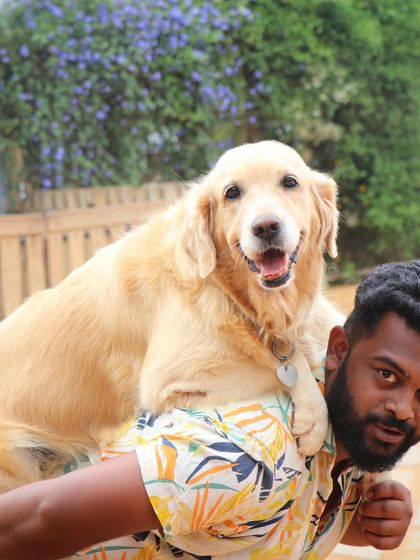 One of our team members gives a piggyback ride to a very happy Golden Retriever.