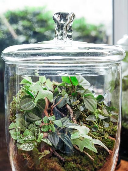 Creative Vessels: Teapots, Jars & More photo 26