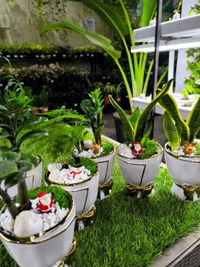 Green Gifting Solutions