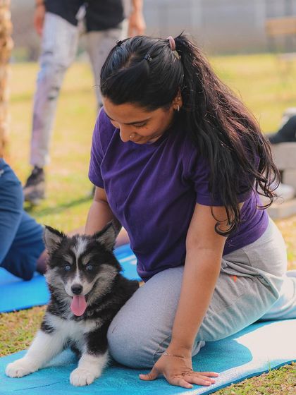 The Pawsome Camp - Dog Party & Event Hosting Special Events & Workshops photo 35