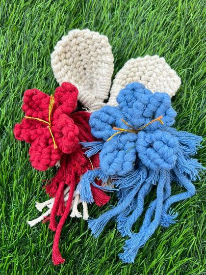 A collection of my red and blue macrame flowers. The vibrant colors and textured knots make them a unique decorative item.