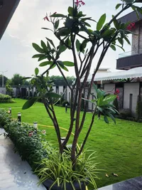 Full-Service Landscaping