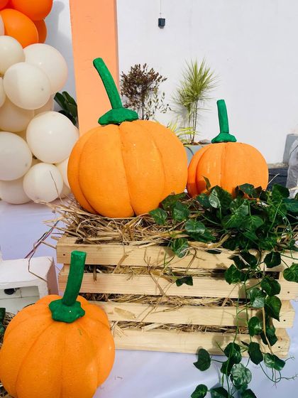 Novella - Children's Themed Birthday Parties More Fun Themes photo 18