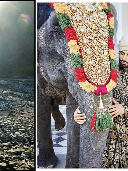 For this shoot, I styled an opulent, traditionally embroidered sherwani, creating a regal and powerful image. The interaction between the model and the adorned elephant adds a layer of narrative and grandeur to this menswear editorial.