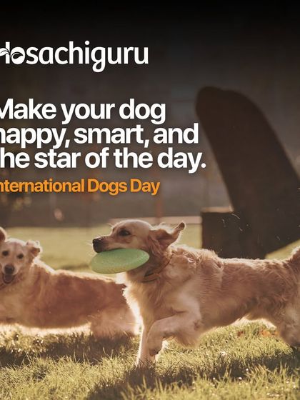 An invitation to make your dog happy, smart, and the star of the day at our International Dogs Day event.