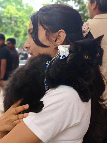 Zigly - Veterinary Services Events & Special Offers photo 17