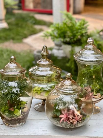 Greenhouse - Living Botanical Art & Arrangements Miniature Living Worlds photo 9