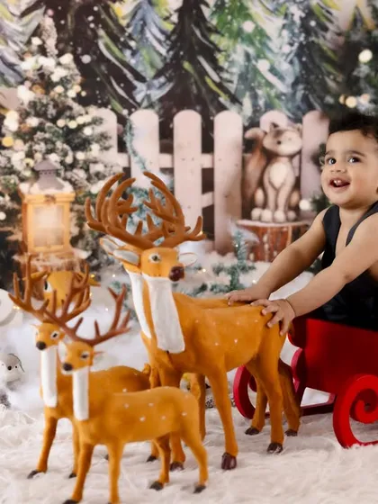 Dashing through his first year! This festive winter wonderland theme, complete with a sleigh and reindeer, is a magical way to celebrate a first birthday that falls during the holiday season.