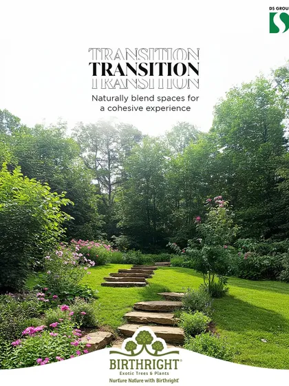 A natural transition helps blend spaces for a cohesive experience. Here, gentle, curving stone steps meander up a grassy slope, seamlessly connecting the lower and upper parts of the garden in a way that feels organic.