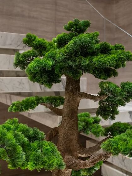 A detailed close-up of the faux bonsai's dense, needle-like foliage against the backdrop of the marble steps. This highlights the quality and realism of our chosen plants.