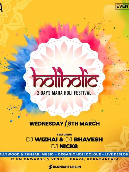 The official poster for the 'Holiholic' Maha Holi Festival. I was featured alongside other great DJs for two days of music, organic colors, and live dhol.