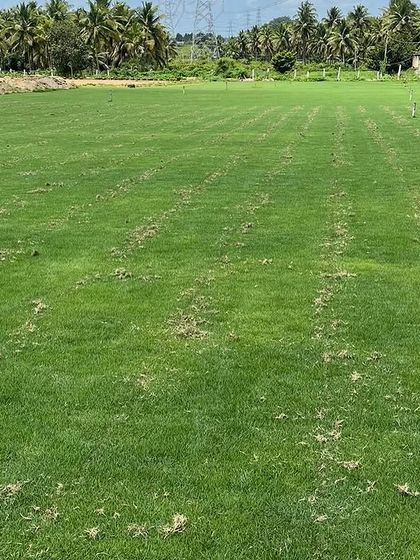 Rakshith Landscaping - Landscape Design & Installation Lush Lawns: Natural & Artificial photo 23