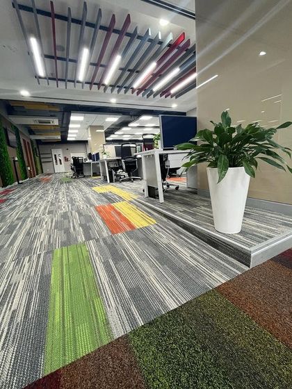 A single Peace Lily in a classic white planter stands on a raised platform, adding a simple yet elegant touch of green to this office corridor. Even small additions can make a big difference in the overall feel of a workspace.