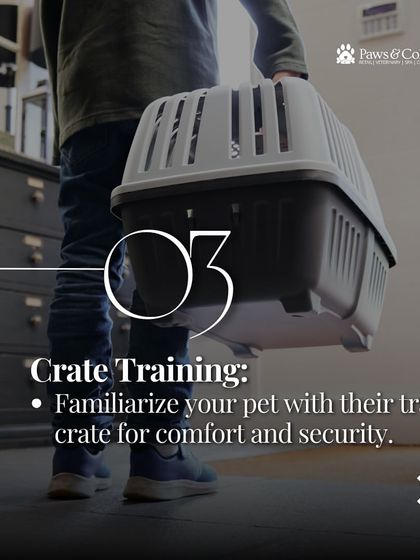 PawsnCollars - Veterinary Care Seamless Pet Relocation, Worldwide photo 11