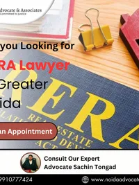 Property & Real Estate Law