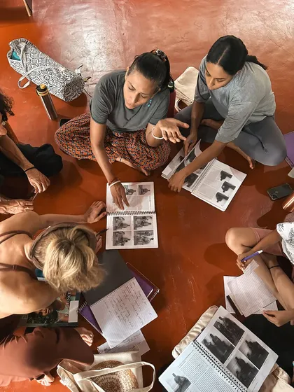 Our training is highly collaborative. Students work together, studying anatomy charts and texts like 'Light on Yoga' to understand the mechanics of each pose and how to sequence classes for therapeutic benefit.