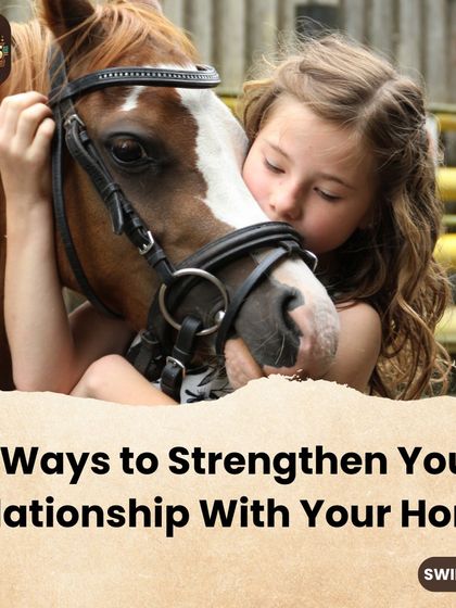 Six ways to strengthen your relationship with your horse. This series opener offers powerful tips for building trust, improving communication, and creating a lasting partnership.