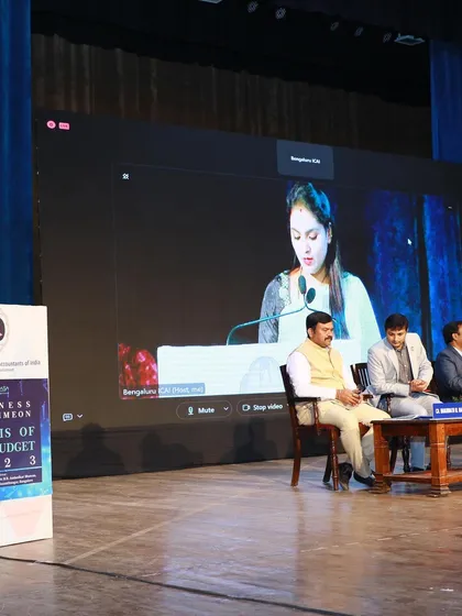 A view of my virtual presentation during the budget analysis program.
