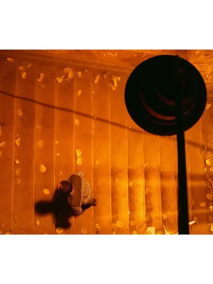 An overhead shot of a person walking on stairs covered in fallen leaves at night. The warm, orange streetlights create a moody and atmospheric scene.