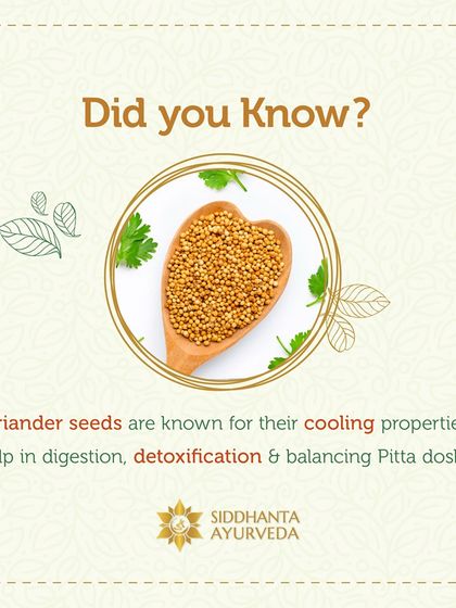 Siddhanta Ayurveda - Weight Management The Power of Ayurvedic Diet & Herbs photo 6