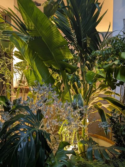 Grand Corporate & Brand Events photo 11