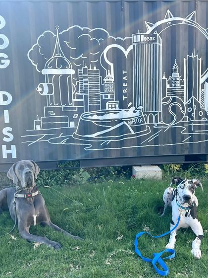 Tulsa Dog Trainer - Immersive Board & Train Programs Board & Train Graduates photo 97