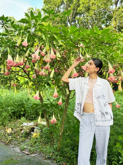 A summery look from July, featuring a hand-drawn print shirt over a crop top and striped pants. It's a relaxed, artistic, and comfortable outfit.