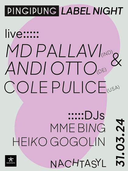 The poster for the Pingipung Label Night in Hamburg, Germany, where Andi Otto and I performed alongside other talented artists.